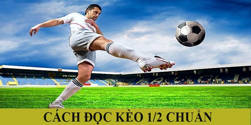 Cách đọc kèo 0.5 chuẩn theo cao thủ