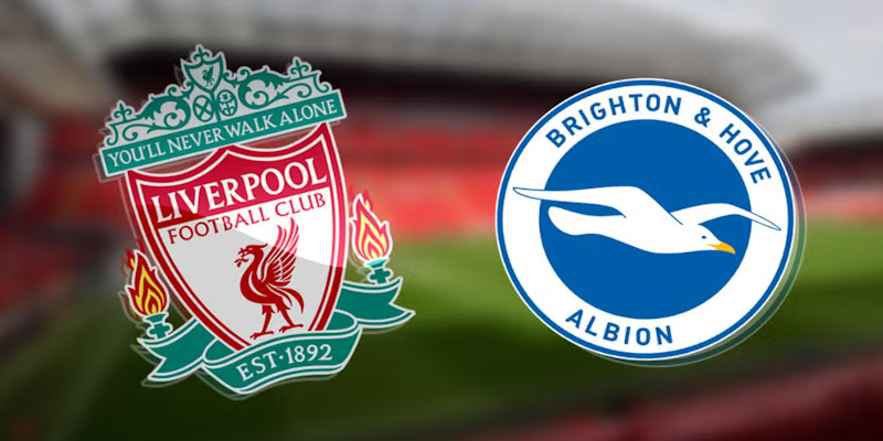 soi kèo Liverpool vs Brighton 31/3