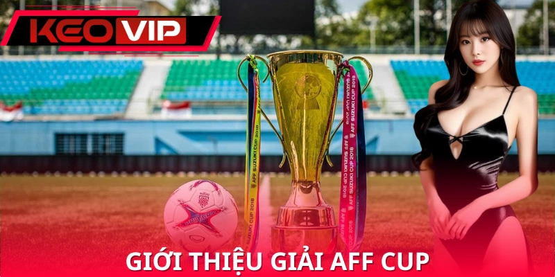 Định nghĩa giải đấu AFF Cup Định nghĩa giải đấu AFF Cup