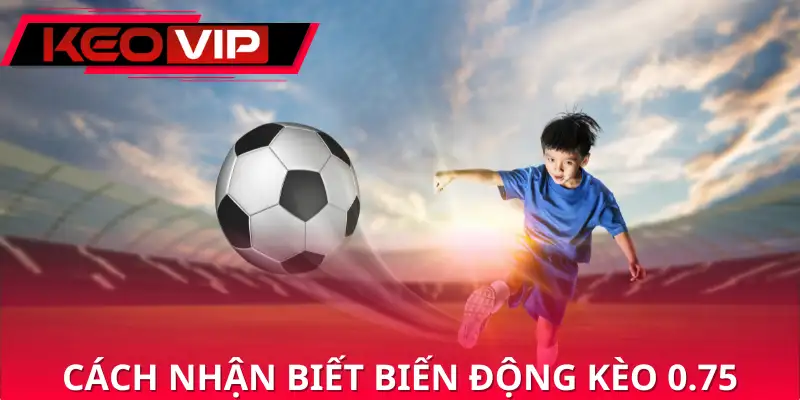Cách nhận biết biến động kèo 0.75 an toàn Cách nhận biết biến động kèo 0.75 an toàn