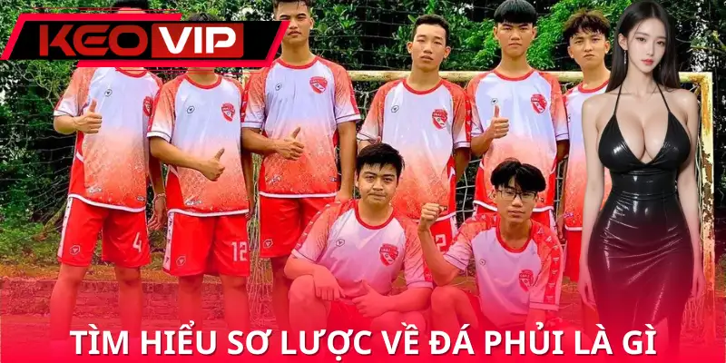 Sơ lược về đá phủi là gì Sơ lược về đá phủi là gì