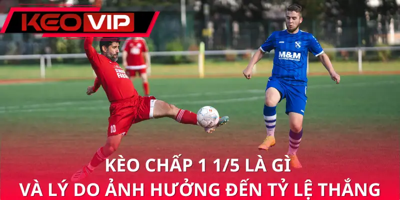 Kèo chấp 1 1/5 là gì và lý do ảnh hưởng đến tỷ lệ thắng Kèo chấp 1 1/5 là gì và lý do ảnh hưởng đến tỷ lệ thắng