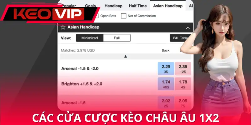 Các cửa cược kèo châu âu đơn giản nhất Các cửa cược kèo châu âu đơn giản nhất