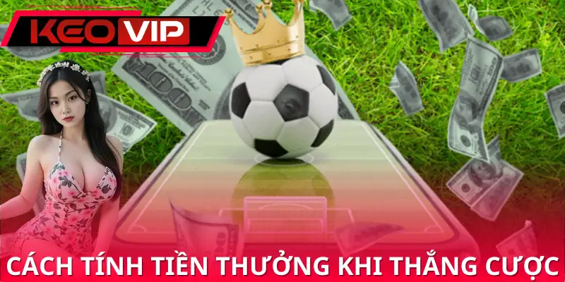 Cách tính tiền thưởng sau khi thắng cược Cách tính tiền thưởng sau khi thắng cược