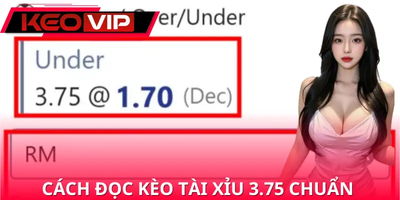 Hướng dẫn các cách đọc kèo tài xỉu 3.75 chuẩn xác nhất Hướng dẫn các cách đọc kèo tài xỉu 3.75 chuẩn xác nhất