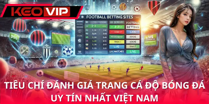 Trang cá độ bóng đá uy tín nhất Việt Nam thể hiện ở pháp lý và minh bạch Trang cá độ bóng đá uy tín nhất Việt Nam thể hiện ở pháp lý và minh bạch