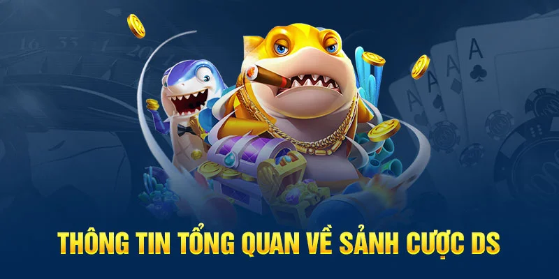 Thông tin tổng quan về sảnh cược DS Thông tin tổng quan về sảnh cược DS