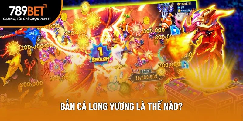 Khái niệm căn bản về bắn cá long vương Khái niệm căn bản về bắn cá long vương