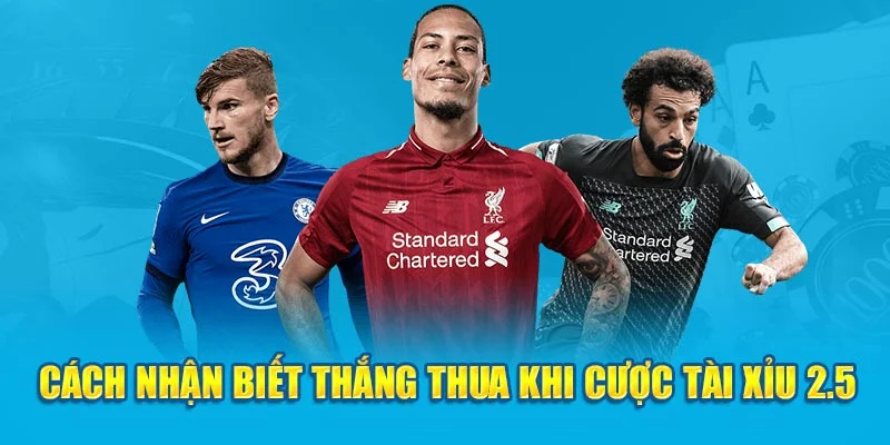Cách nhận biết thắng thua khi cược tài xỉu 2.5 Cách nhận biết thắng thua khi cược tài xỉu 2.5