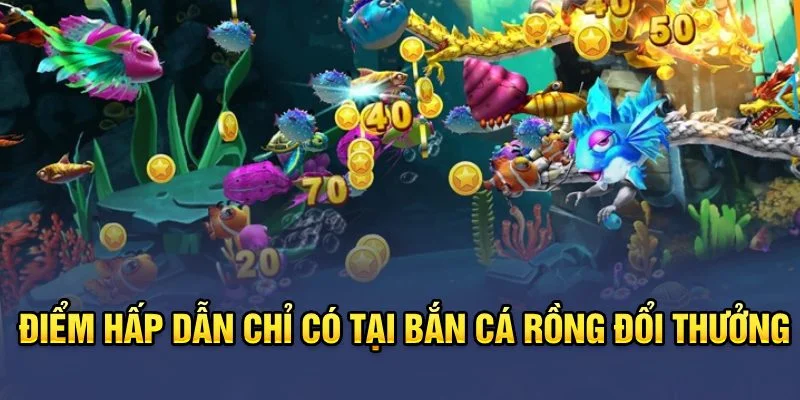 Điểm hấp dẫn chỉ có tại bắn cá rồng đổi thưởng Điểm hấp dẫn chỉ có tại bắn cá rồng đổi thưởng