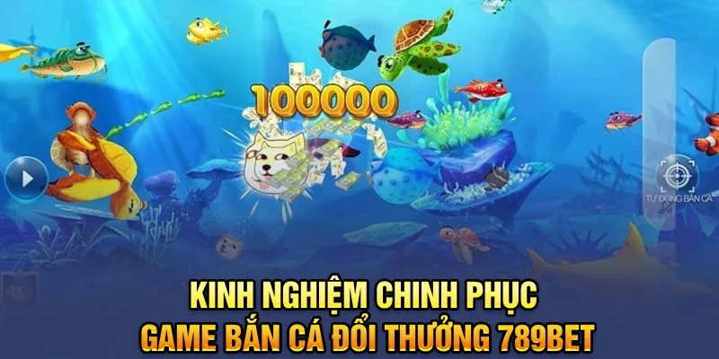 Kinh nghiệm chinh phục game bắn cá đổi thưởng 789bet Kinh nghiệm chinh phục game bắn cá đổi thưởng 789bet
