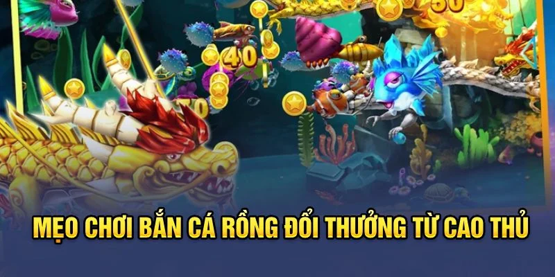 Mẹo chơi bắn cá rồng đổi thưởng từ cao thủ Mẹo chơi bắn cá rồng đổi thưởng từ cao thủ