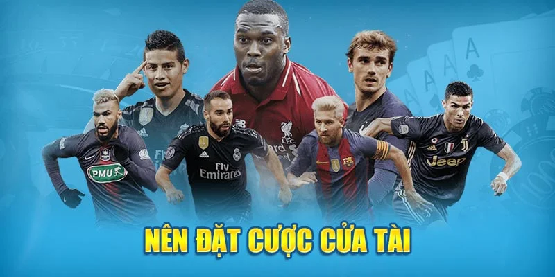 Nên đặt cược cửa tài Nên đặt cược cửa tài