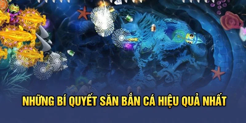 Những bí quyết săn bắn cá hiệu quả nhất Những bí quyết săn bắn cá hiệu quả nhất