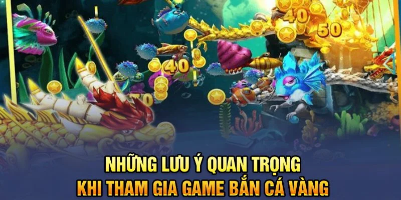 Những lưu ý quan khi tham gia game bắn cá vàng Những lưu ý quan khi tham gia game bắn cá vàng