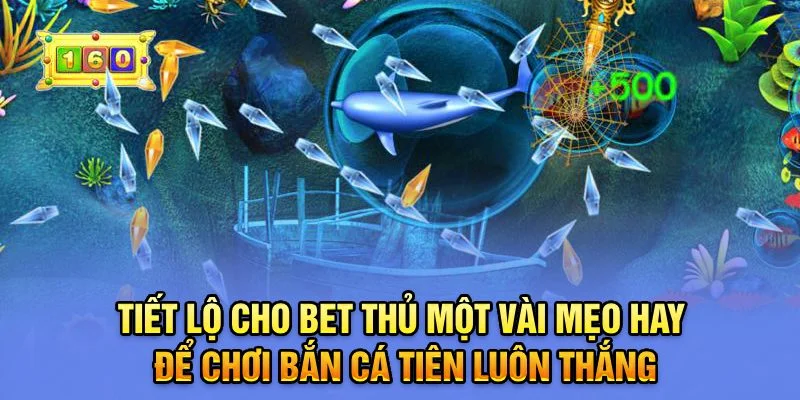Tiết lộ cho bet thủ một vài mẹo hay để chơi bắn cá tiên luôn thắngTiết lộ cho bet thủ một vài mẹo hay để chơi bắn cá tiên luôn thắng Tiết lộ cho bet thủ một vài mẹo hay để chơi bắn cá tiên luôn thắngTiết lộ cho bet thủ một vài mẹo hay để chơi bắn cá tiên luôn thắng