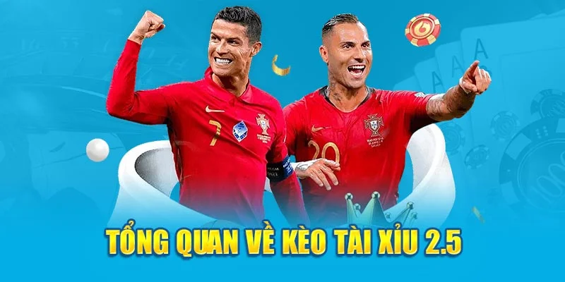 Tổng quan về kèo tài xỉu 2.5 Tổng quan về kèo tài xỉu 2.5
